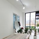 아일리플레르