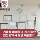 인천광역시 농업기술센터 | 겨울철 아이들과 가기 좋은 곳 - 인천광역시 농업기술센터 둘러보기