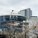 벨다 | [서울역 카페] 벨다 커피, 우베 크림 말차 라떼 후기