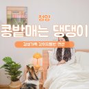 콩밭매는 강아지 이미지