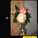 행복한지짐이 | 나는야 행복한 사람