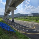 경안천 유방동 이미지