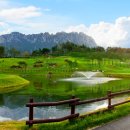 델피노숲 이미지