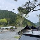 태백 눈꽃 야영장 이미지