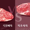 애호가 이미지