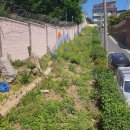 용산 이미지