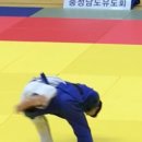 팀케이 유도 멀티짐 이미지
