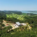 치유의숲 이미지