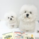 댕댕이 간식창고 이미지