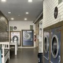 비둘기세탁소 이미지