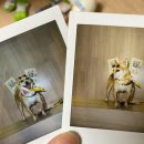 (주)케이소프트 이미지