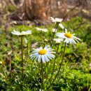 상예동-8 이미지