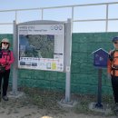 남양만로 이미지