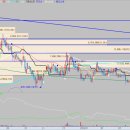 지엔씨메디칼 이미지