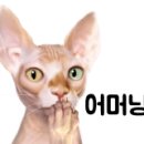 진안마이꿈유치원 이미지
