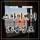정선PC | 강릉 호캉스 추천 스카이베이호텔 경포 이그제큐티브 트윈 커넥팅룸 / 루프탑 수영장 솔직후기