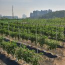 이천역세권공인중개사사무소 이미지