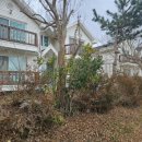 블루오션리조트홀리데이파크 이미지