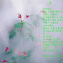 동화지 이미지