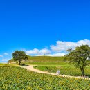 연천 호로고루 이미지