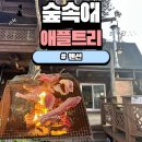 숲속애 애플트리 네이버블로그