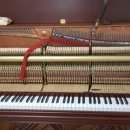 월영동113 이미지