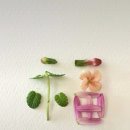 (주)힘찬걸음 이미지