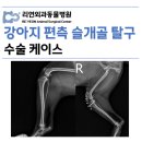 리연외과동물병원 이미지