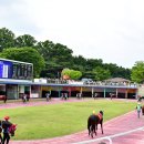 캡틴축산 이미지