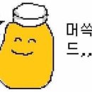 배부른돼지 이미지
