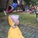 데굴데굴 Daum카페