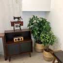 홍베이팡 미사망월점 이미지