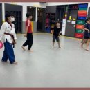 용인대대영태권도 이미지