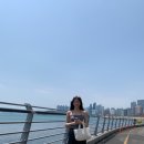 YELLOW HILL(옐로우 힐) | 3월 봄 위시리스트 W컨셉 BLOOMING DAYS 봄 스타일링 / 레터프롬문, 에트몽, 시엔느 etc