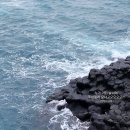 카페아르츠 | 3자매 제주 가족여행 2일차 (카페 오션+대포 주상절리...요트투어+성산 칠돈가+아르츠 스파 앤 풀빌라)