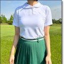 포웰스크린골프 이미지