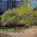 말매못근린공원 이미지