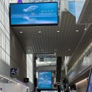 더하이엔드 이미지