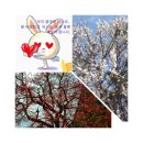 충대농자재 이미지