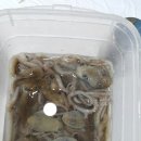 우슬경기장 내 이미지