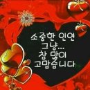 오색무지개 Daum카페