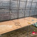 체리목장 이미지