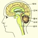 중앙검정고시학원 - 화성시 경기대로 1042 | 중앙검정고시학원