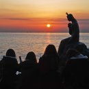 동백섬의 일출 이미지