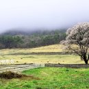 중기목장 이미지