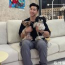 용신71 이미지