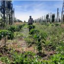 협동유통 이미지