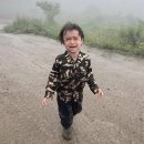 달달리아 이미지