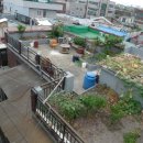 서구-01-23 이미지