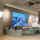 키즈농구2 이미지